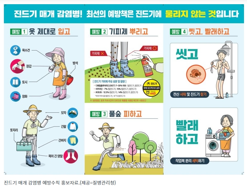 쯔쯔가무시증 급증