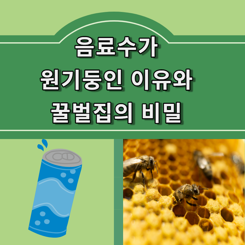 실생활 수학 예시