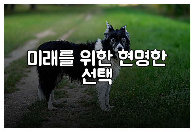 미래를 위한 현명한 선택