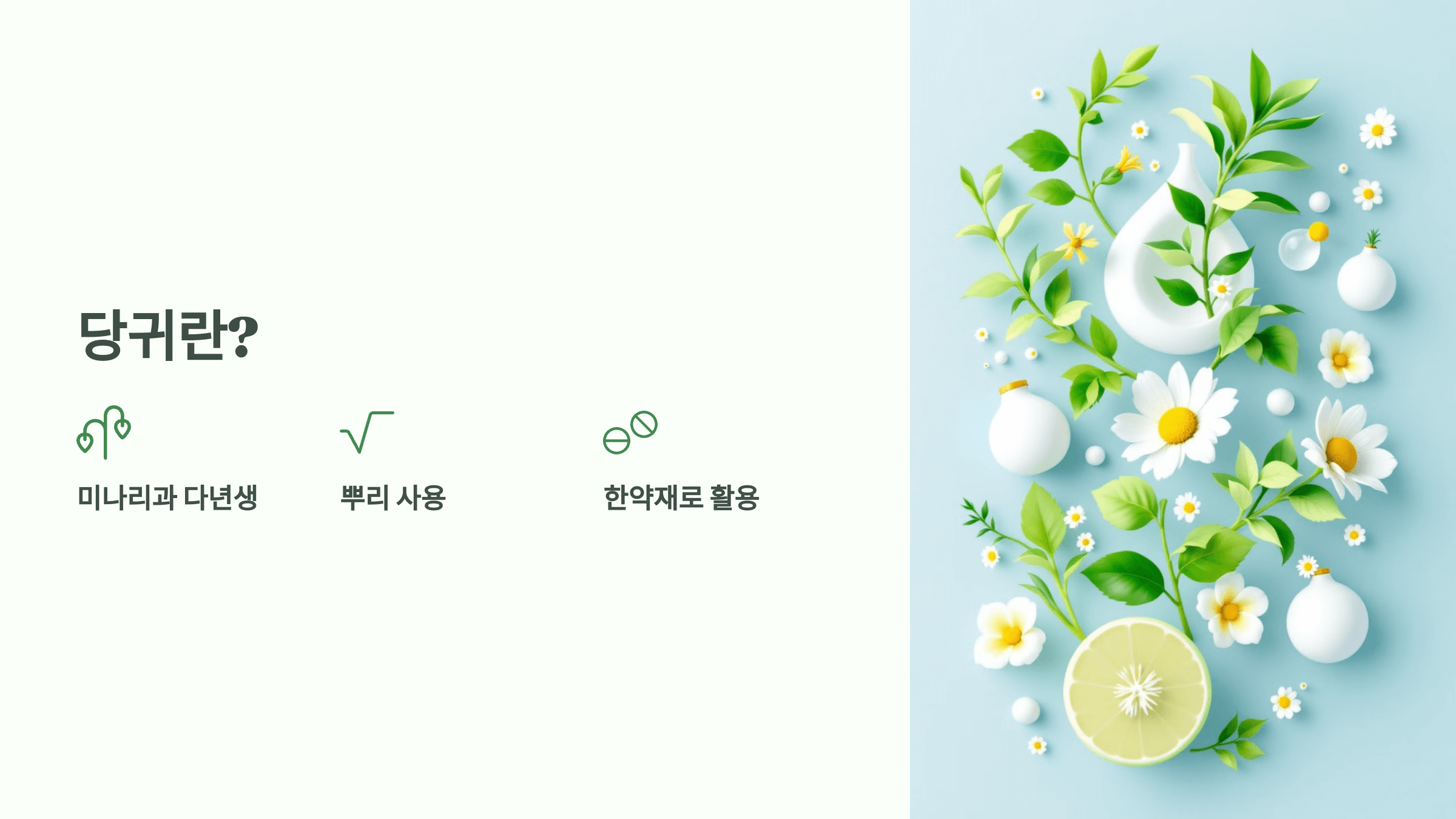 당귀 사진입니다.