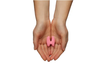 갑상선 기능 항진증 증상 및 원인 치료방법