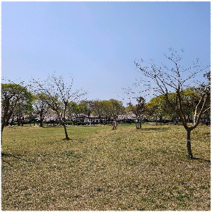 을숙도