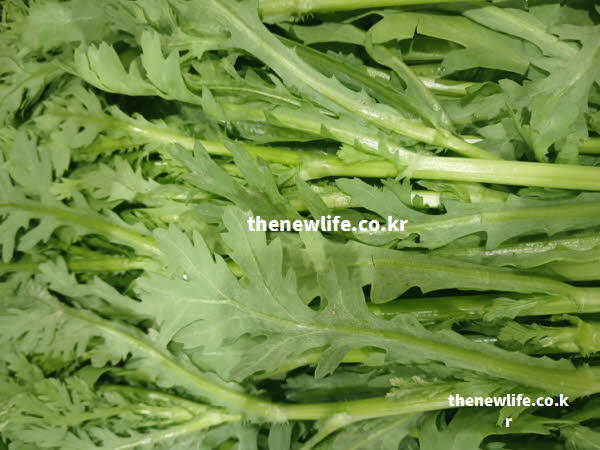 쑥갓의 효능이 혈관 건강에 필수적인 칼륨이 풍부함을 보여주는 실사진