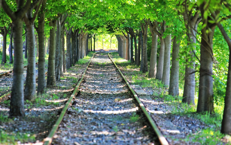 가평 레일바이크