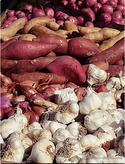 고구마-효능-요리-섭취방법-2