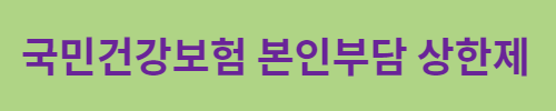 국민건강보험 환급금 조회 (3)