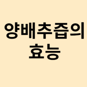 양배추즙의 효능