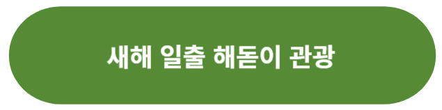 새해 일출 해돋이 관광