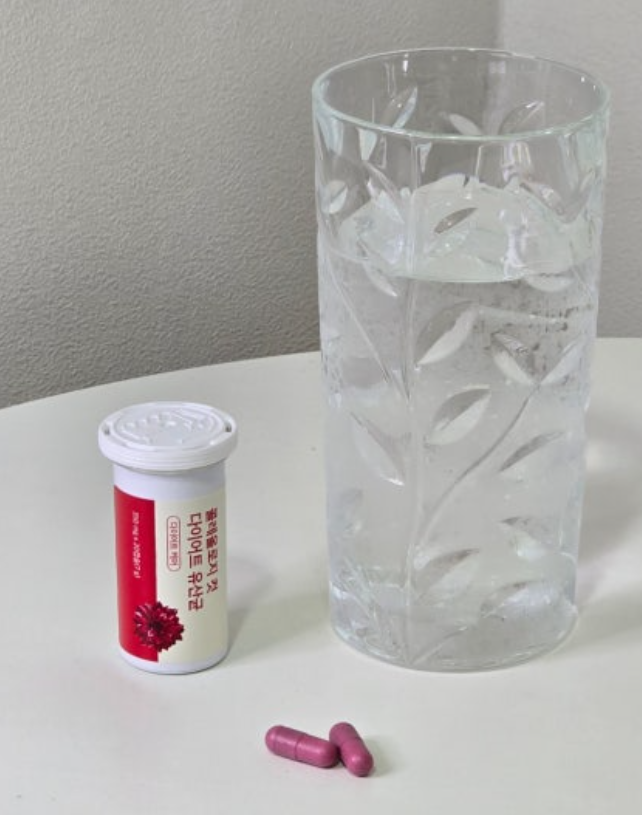 콜레올로지 컷 다이어트 유산균 후기