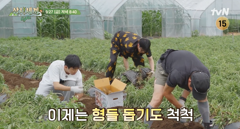 삼세세끼 임영웅