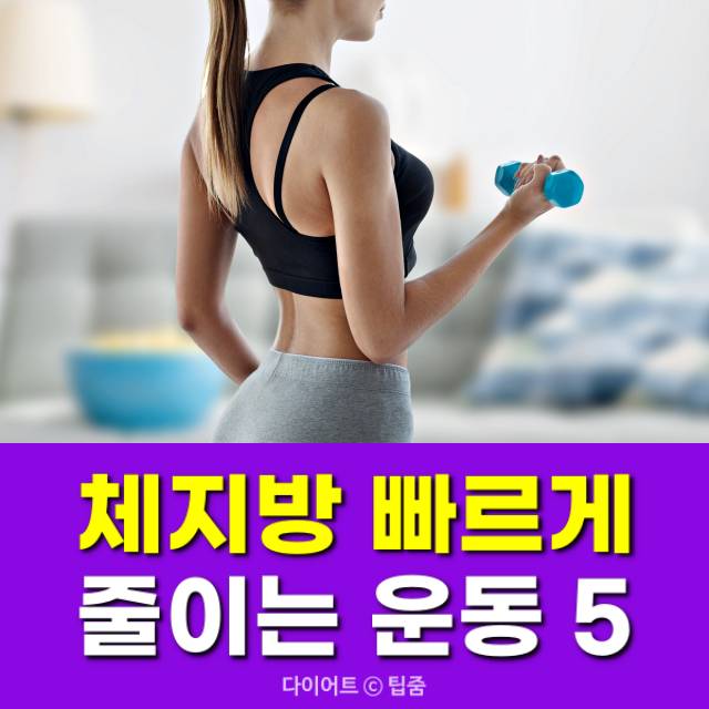 체지방 줄이는 운동,체지방 분해 다이어트,집에서 하는 유산소 운동