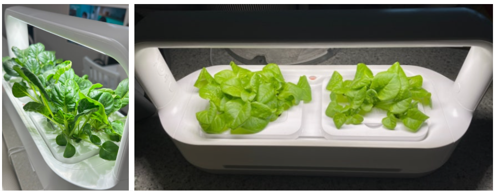 LG 틔운 오브제컬렉션