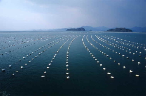 통영 가볼만한 곳 사량도