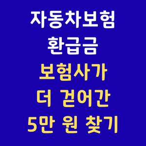 자동차보험환급금 자동차보험과납환급 과납보험료환급조회 AIPIS보험개발원 숨은보험료찾기 착오납부환급 차량보험료할인