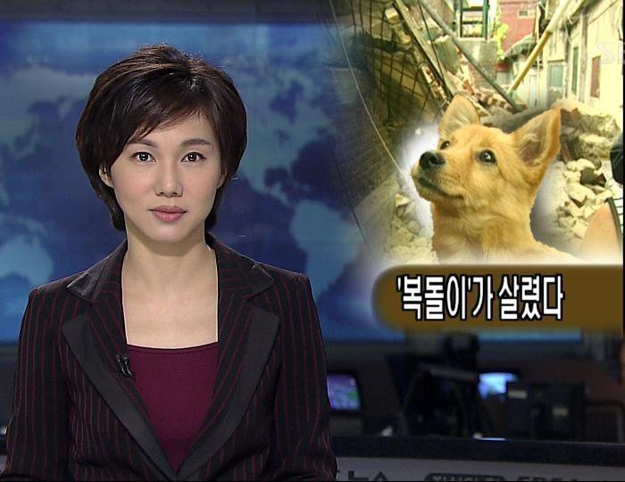 복돌이
