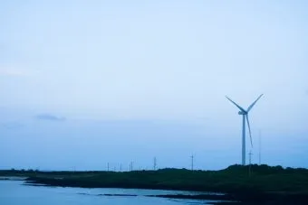 제주 김녕미로공원 입장료와 아이와 함께 즐기기 좋은 팁_4