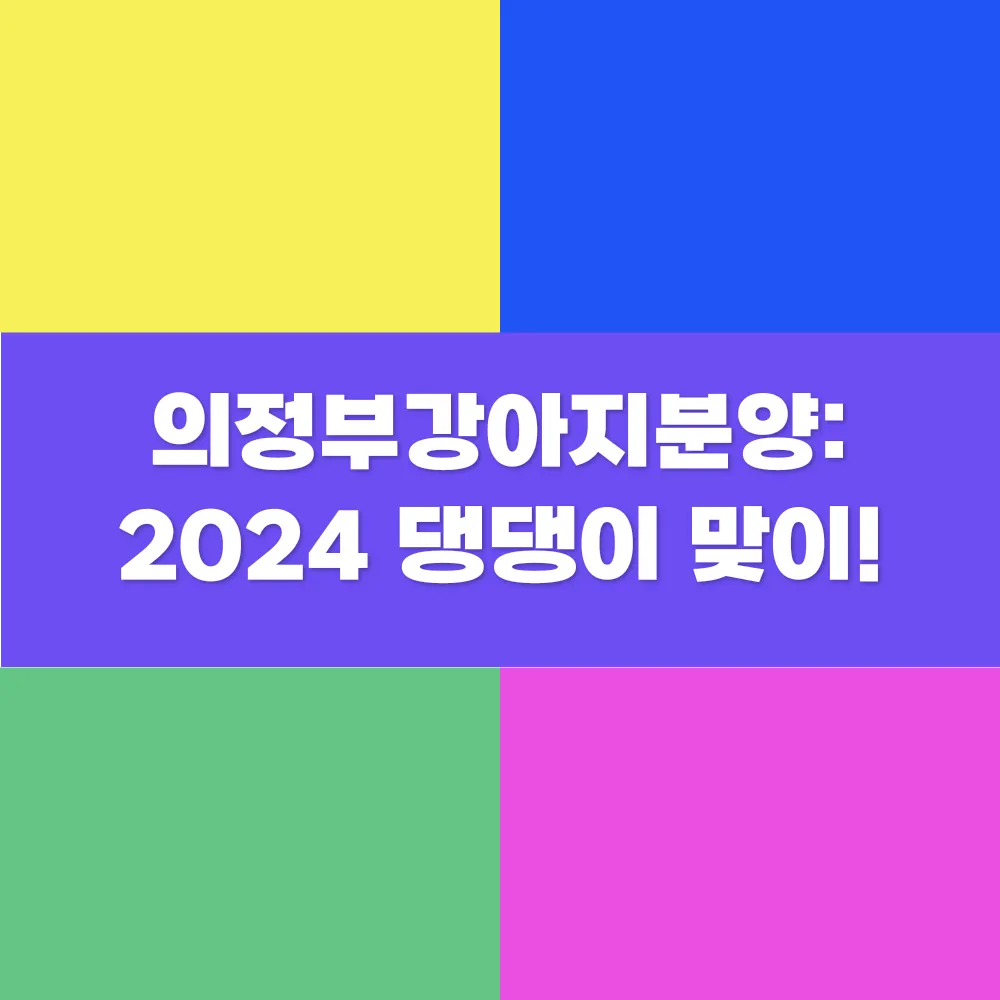 썸네일 이미지