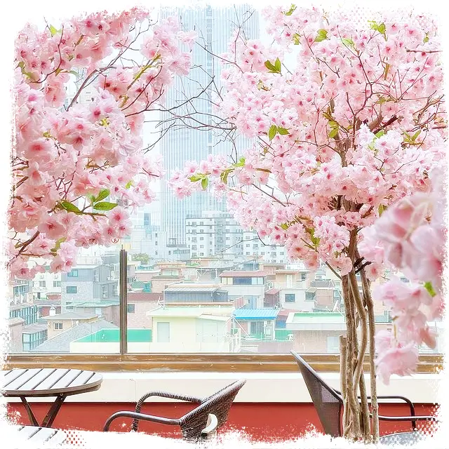 석촌호수 벚꽃구경 데이트코스 롯데월드타워 뷰맛집 전망 좋은 캐쥬얼바 잠실 송리단길 카페 칵테일바 추천