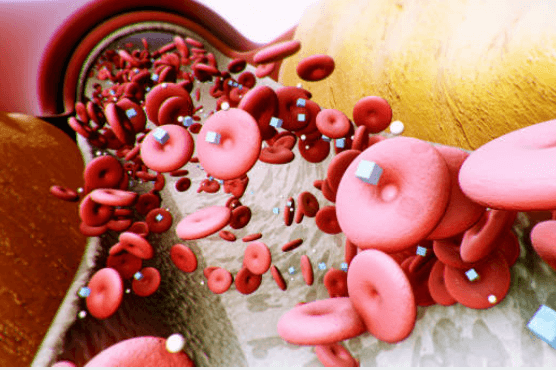 액상과당이 몸에 해로운 이유는? 당류의 진실과 위험성