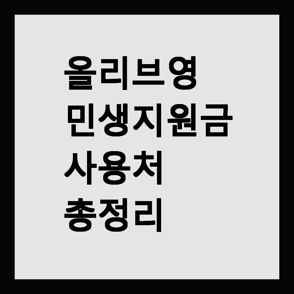 올리브영 민생지원금 사용처 총정리