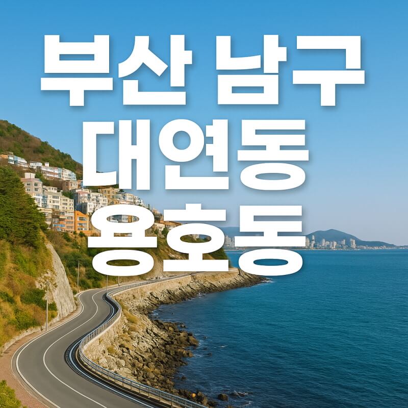 부산 가볼 만한곳 (대연동, 용호동, 남구) 관련사진