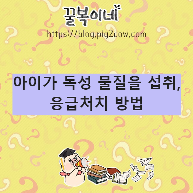 생활정보