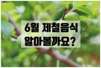 여름 준비는 건강한 식탁에서 6월 제철 음식 리스트 완벽 총정리_11