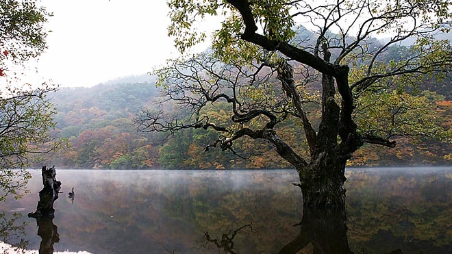 가메봉코스