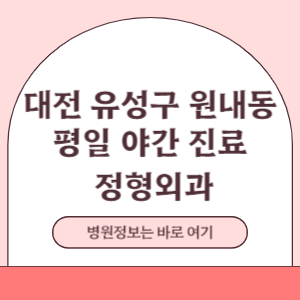 대전 유성구 원내동 평일 야간진료 정형외과 진료 병원