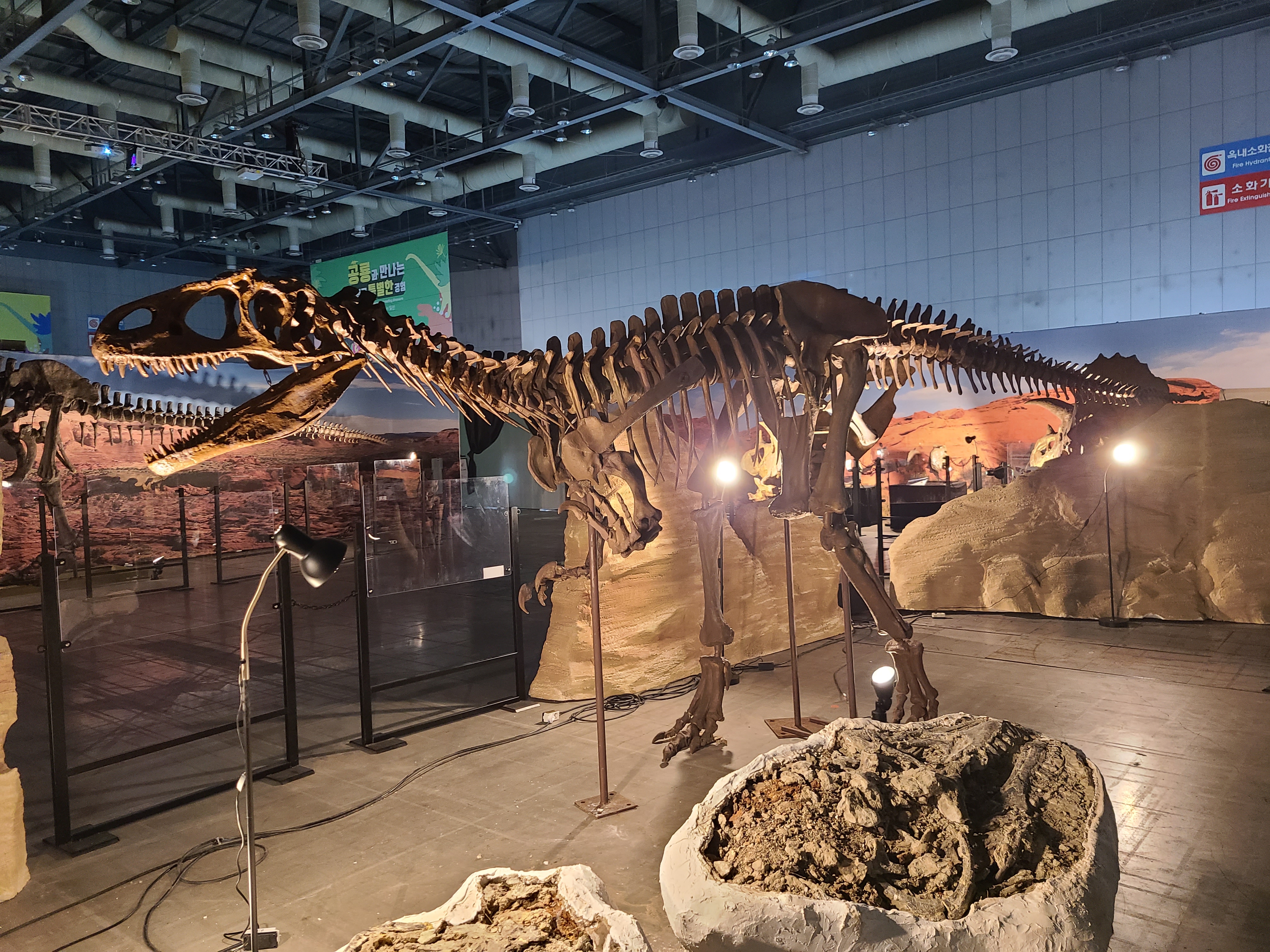 2023 찾아가는 공룡엑스포 in 일산 알로사우르스 뼈