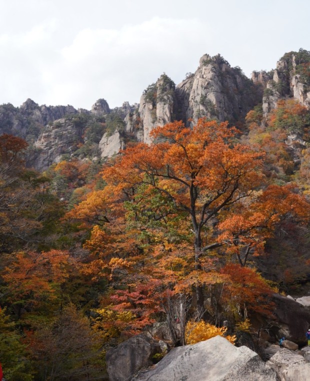 설악산 단풍시기