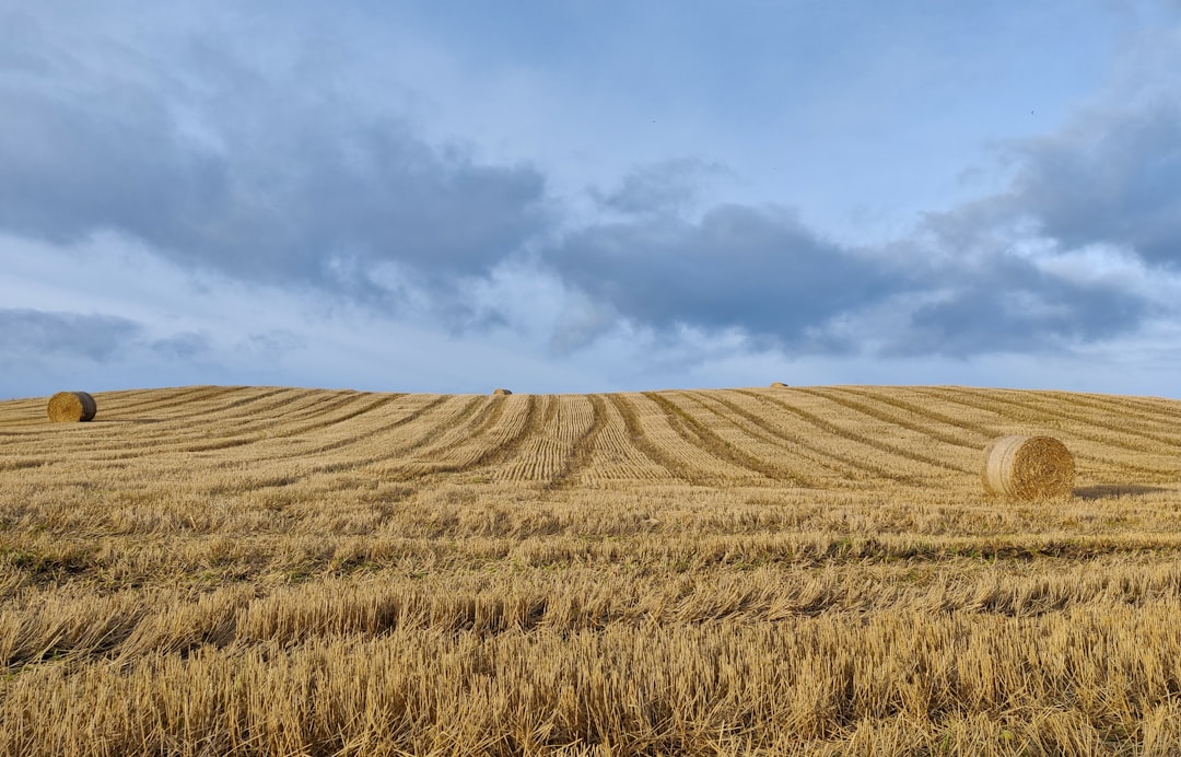 Farmland