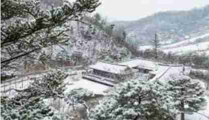 화담숲 모노레일 예약 3분 완벽 가이드