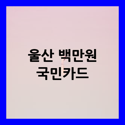 울산 백만원 국민카드