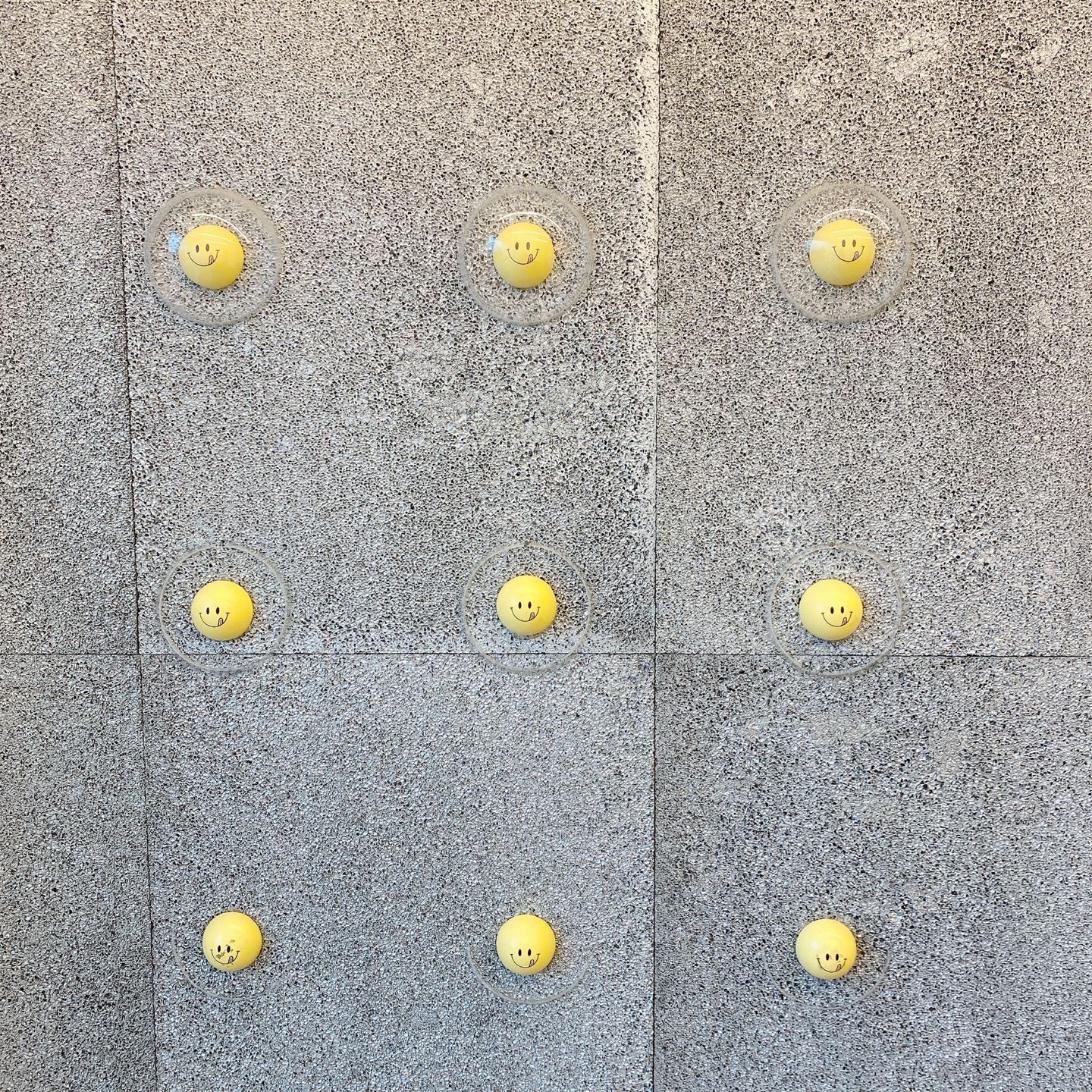 노티드 도넛 제주 애월 핫플레이스 우유크림 도넛 Knotted JEJU