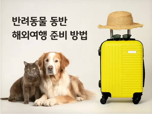반려동물과 해외여행 기내 직항 펫 전용 준비와 절차_2
