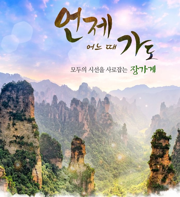 대구공항 출발 직항 해외여행지 추천