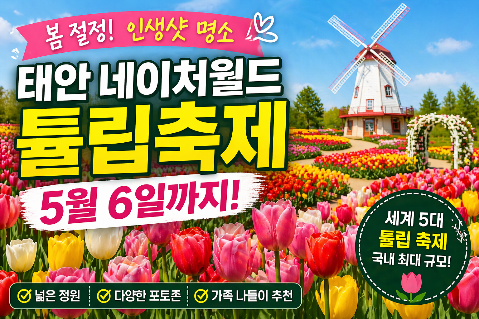 태안 네이처월드 튤립축제 5월 6일까지! 지금 꼭 가야 하는 이유 (2026 최신)