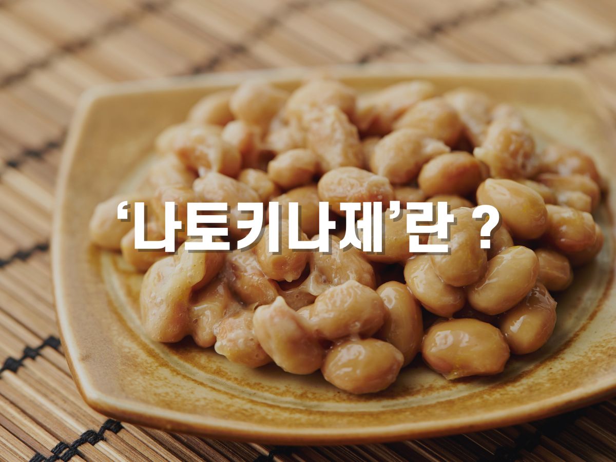 나토키나제 효능