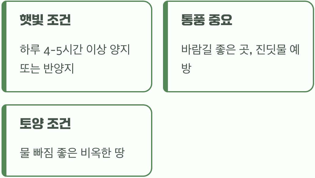 2. 햇빛과 바람, 최적의 장소 찾기