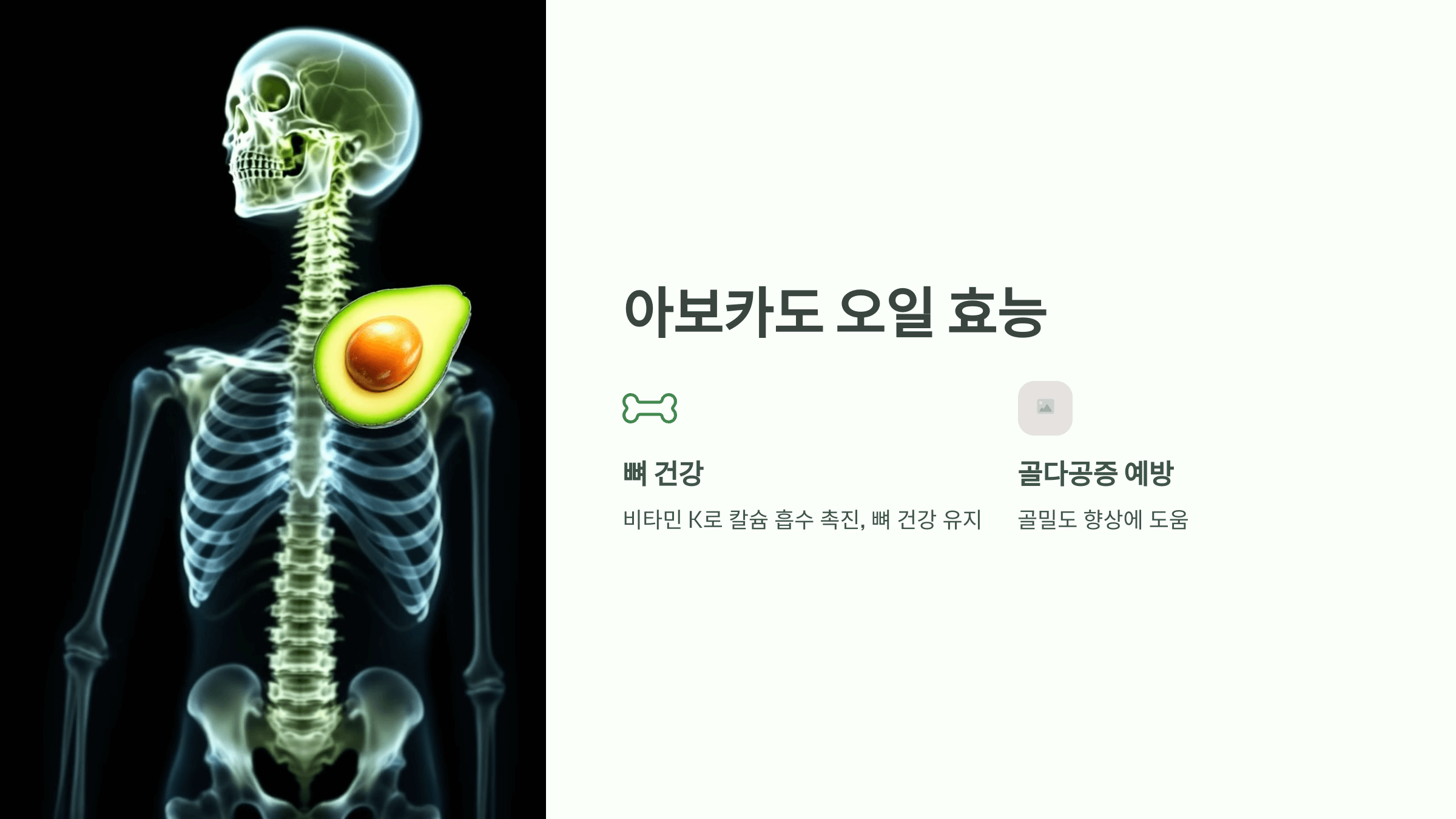 아보카도 오일 사진입니다.