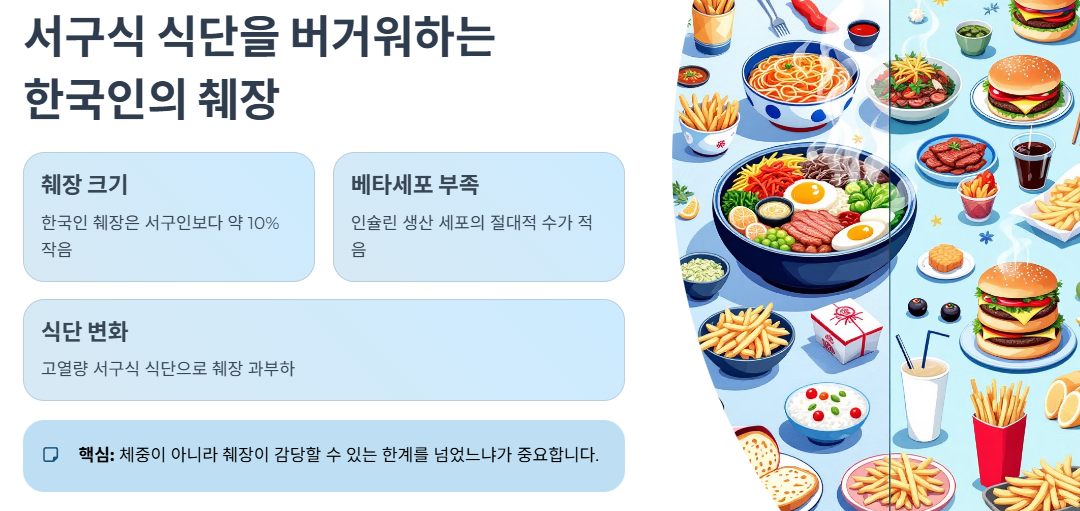 서구식 식단을 버거워하는 한국인의 췌장