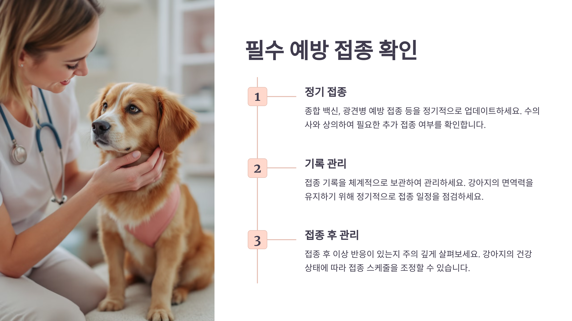 필수 예방 접종 확인