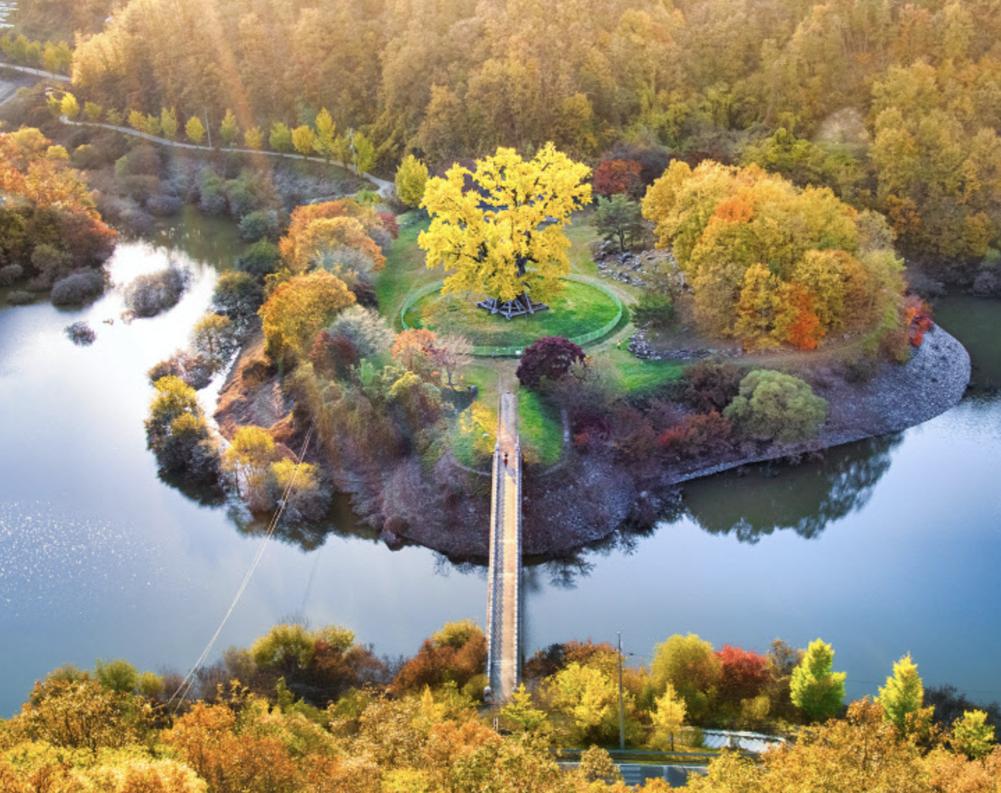 11월 국내 가을여행 유명 예쁜 은행나무 명소 반계리 명륜당 운곡서원 등