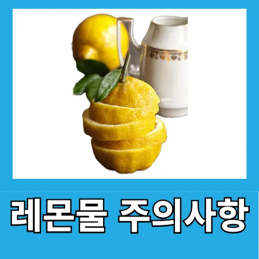 주의사항