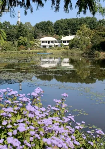 천리포 수목원 목련축제 입장료 여행코스_12