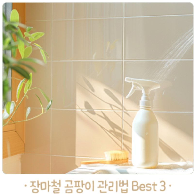 장마철 곰팡이 걱정 뚝! 욕실·베란다 꿀관리법 BEST 3