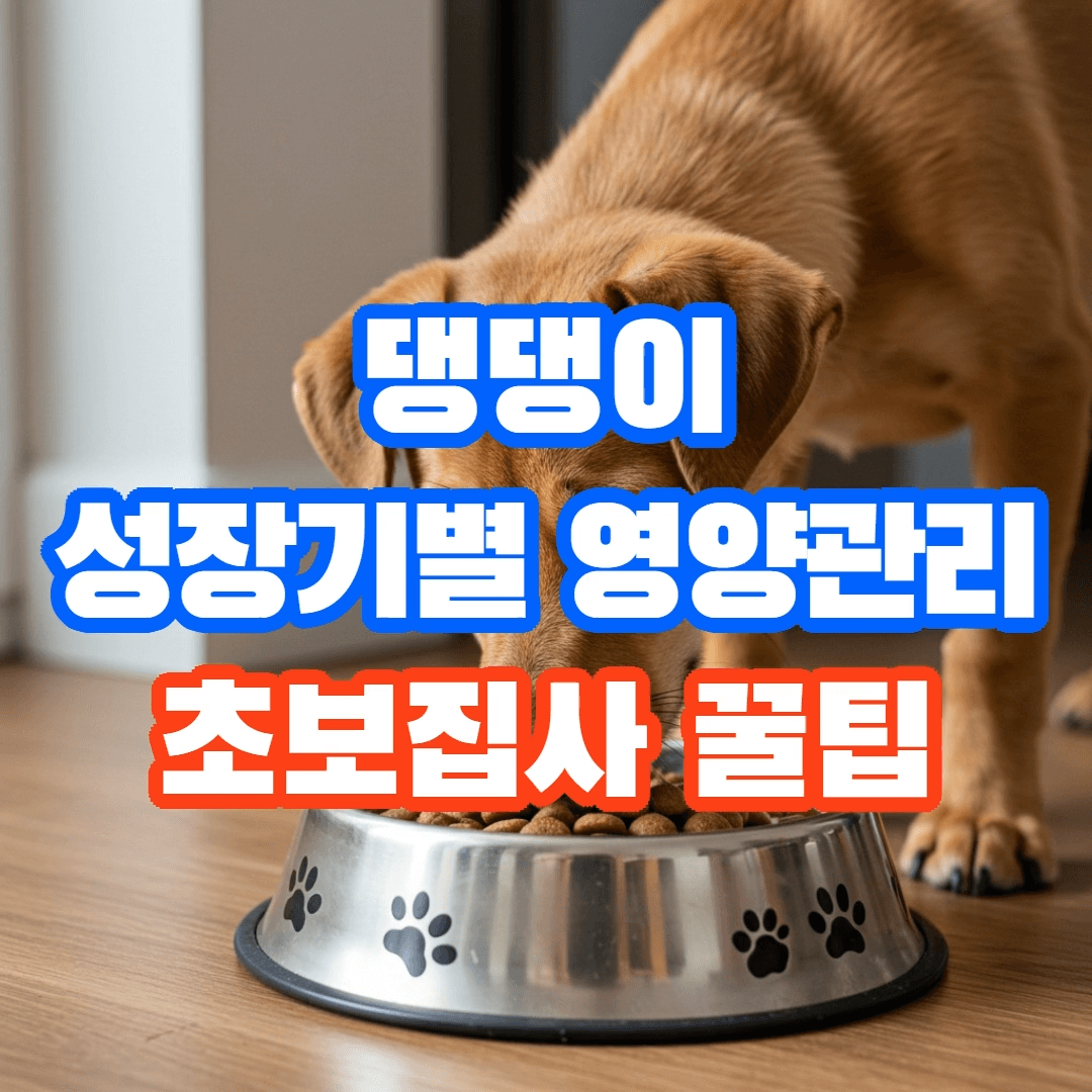반려견 성장기별 영양관리 완벽 가이드, 초보주인 필독