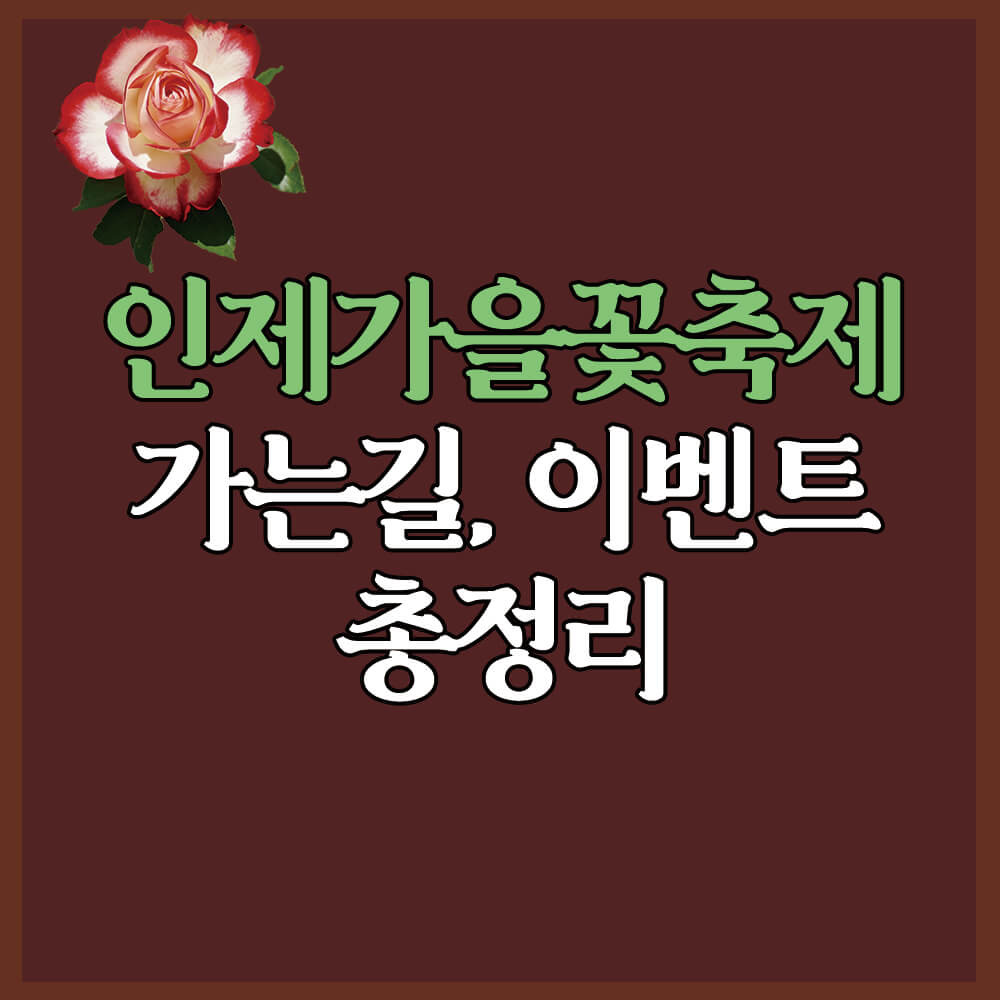 인제가을꽃축제 가는길&#44; 이벤트 총정리