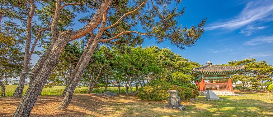 가볼만한곳 베스트10 봉선홍경사갈기비